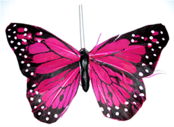 Butterfly (352x352)
