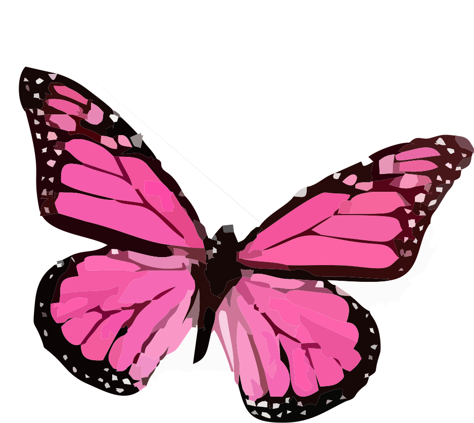   Brush-footed Butterfly (938x836)