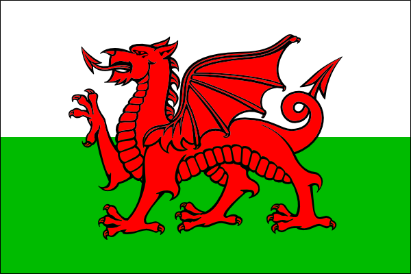 Country With Dragon Flag (600x400)