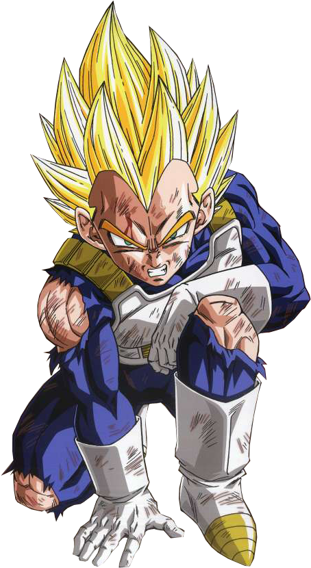Dragon Ball Z Vegeta (477x830)