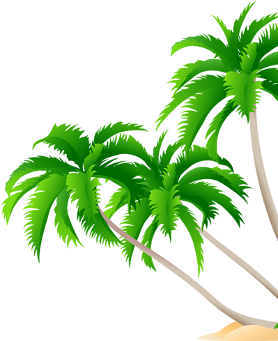 1800 Central Commerce Court - High Resolution Coconut Tree Leaf Vector (428x550)