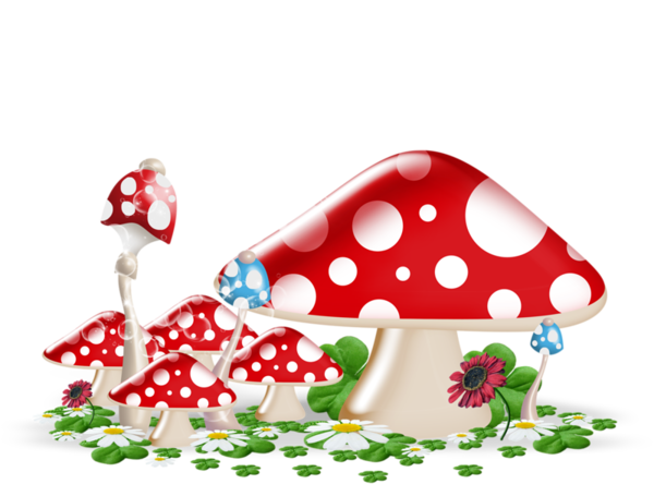 Mushroom (600x444)
