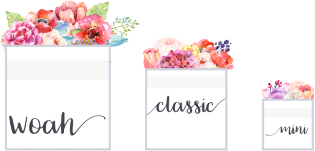 Scroll - Scroll (1000x300)