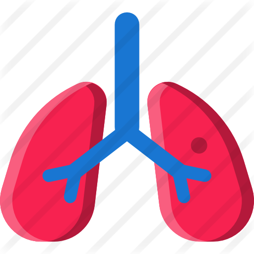 Lungs - Icon (512x512)