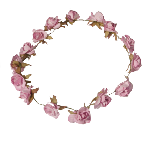 Image - Flower Crowns Without Background (500x500)