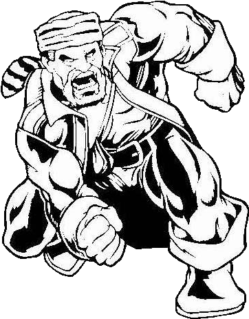 Chs Wrestling - Pioneer (365x469)