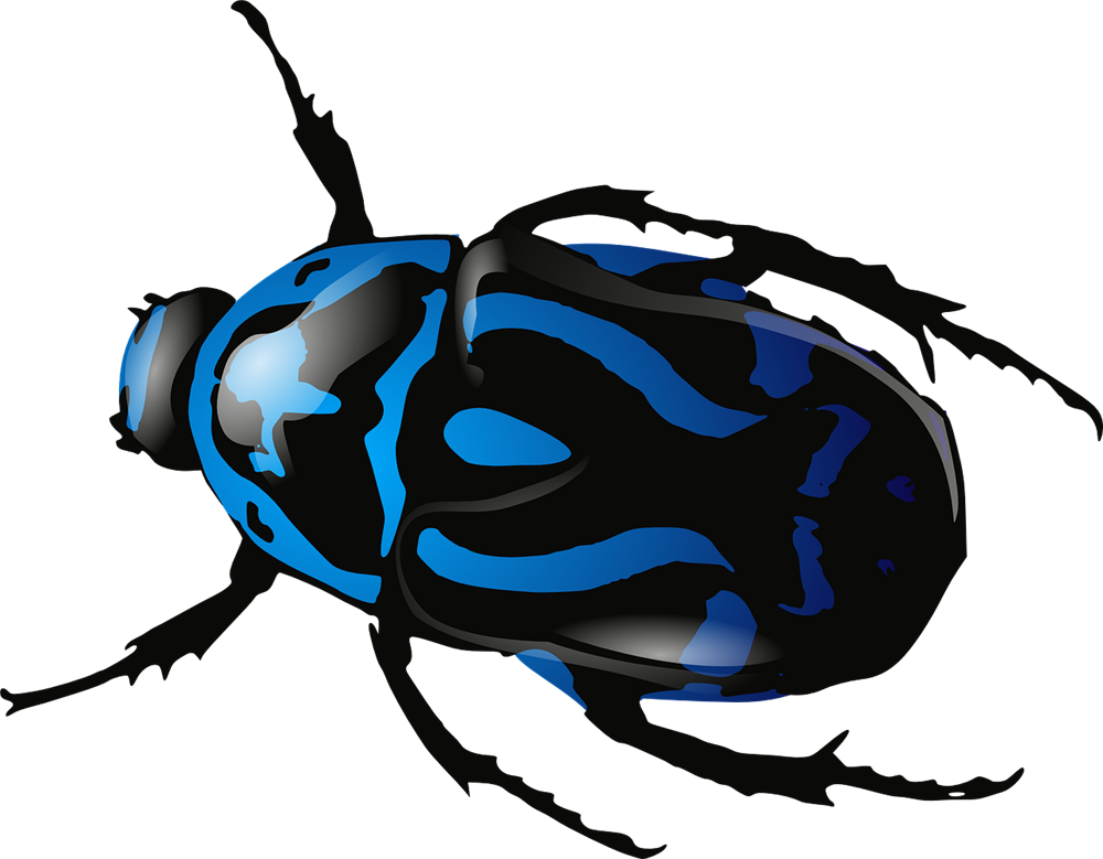 Scuttle Buddy - Beetle Insect (1000x779)