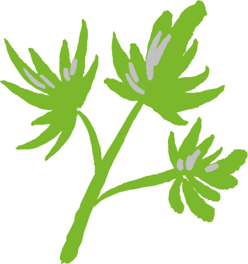 Click To Manify - Click To Manify (356x380)