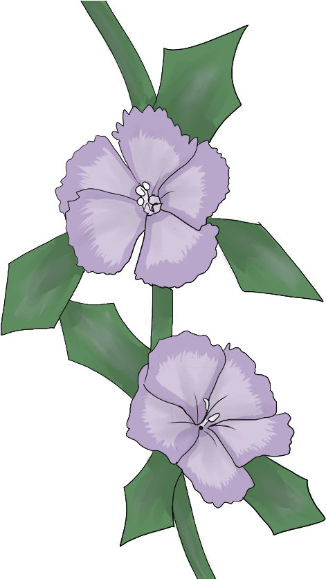 Winterblossombloom - Periwinkle (650x836)