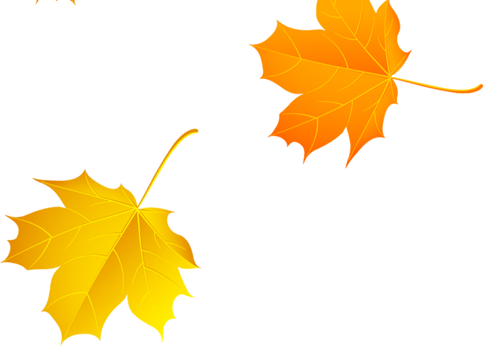Autumn Maple Leaf - Autumn Maple Leaf (696x499)