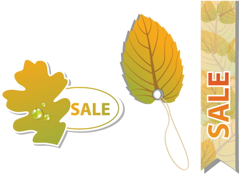 Maple Leaf Label Vector Promotions - Maple Leaf Label Vector Promotions (500x500)