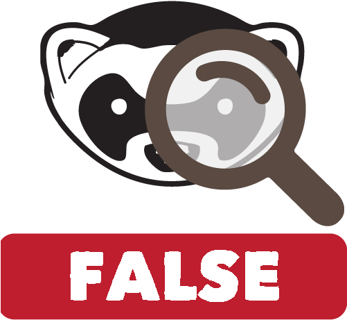 Ferret (500x500)