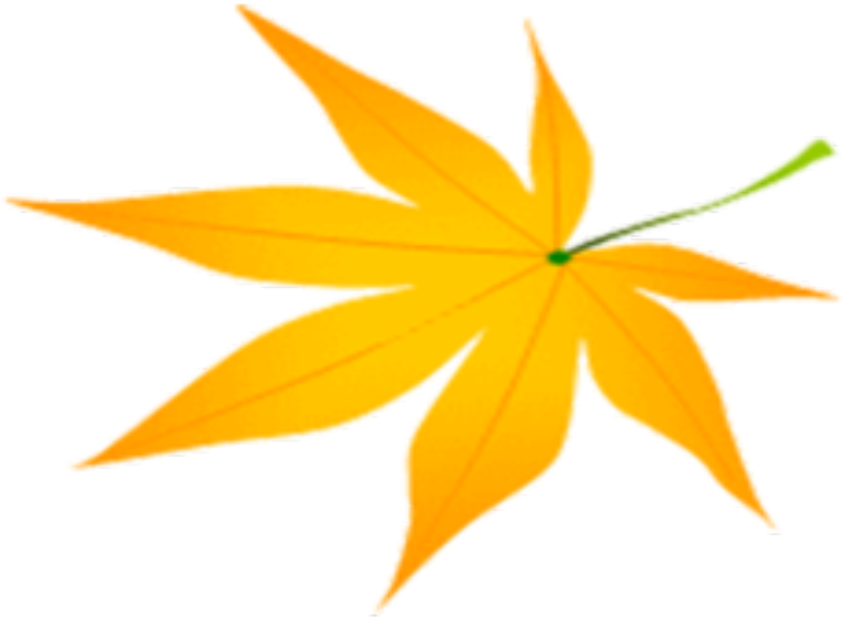 Autumn Maple Leaf - Autumn Maple Leaf (800x600)