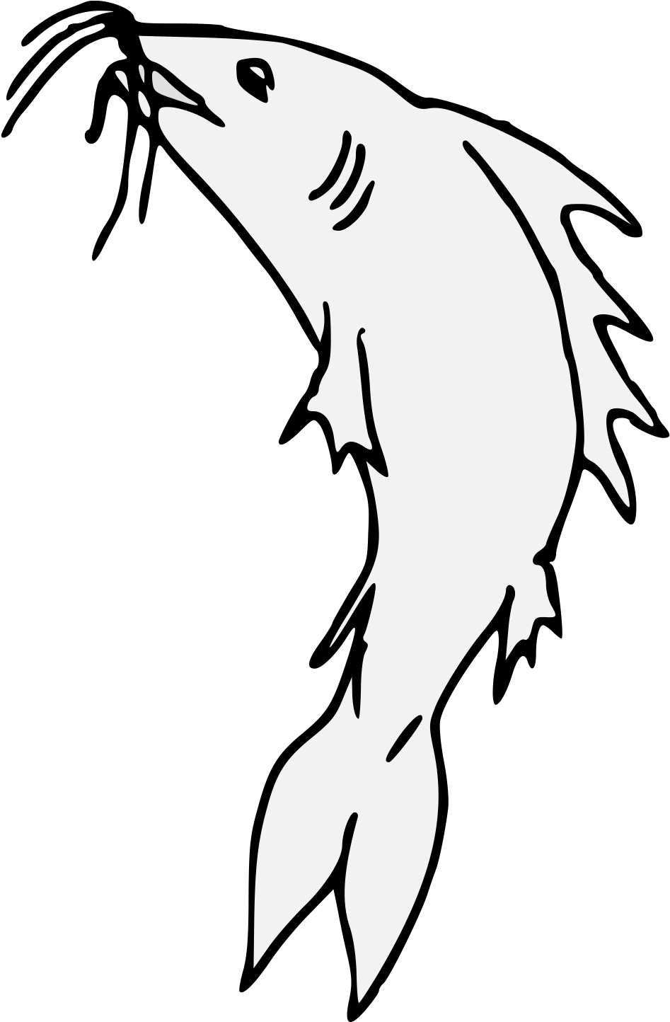 Catfish Haurient Embowed - Art (956x1443)