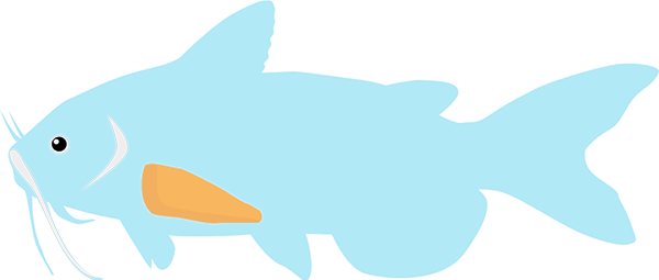 Selection - Test (600x255)
