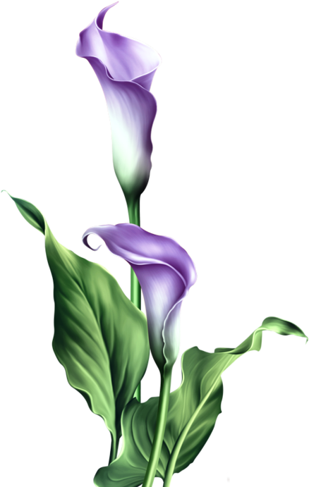 Purple Lily Easter Blessings Card (455x699)