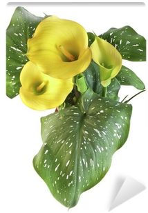 Yellow (400x400)