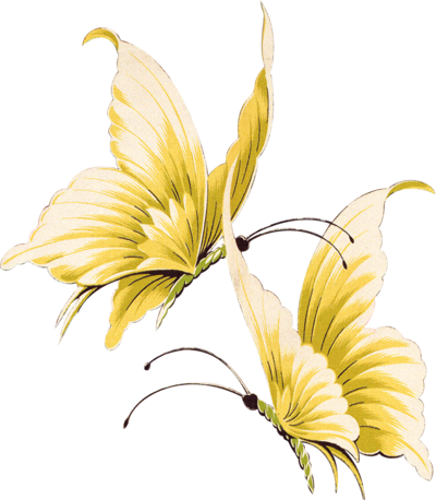 Vintage Butterflies Transparent Background (400x458)