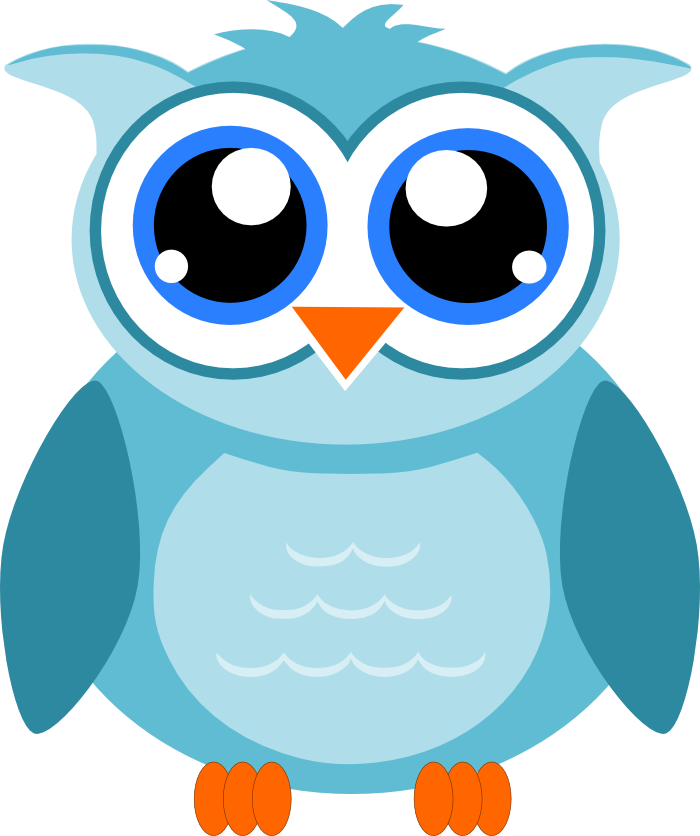 Owl - Clipart With Transparent Backgrounds (700x836)