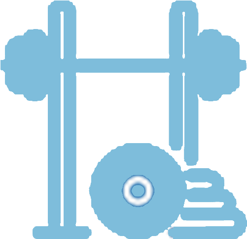 Physicalwellness-icon Copy - Icon (500x500)