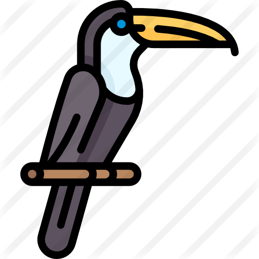 Toucan - Toucan (512x512)