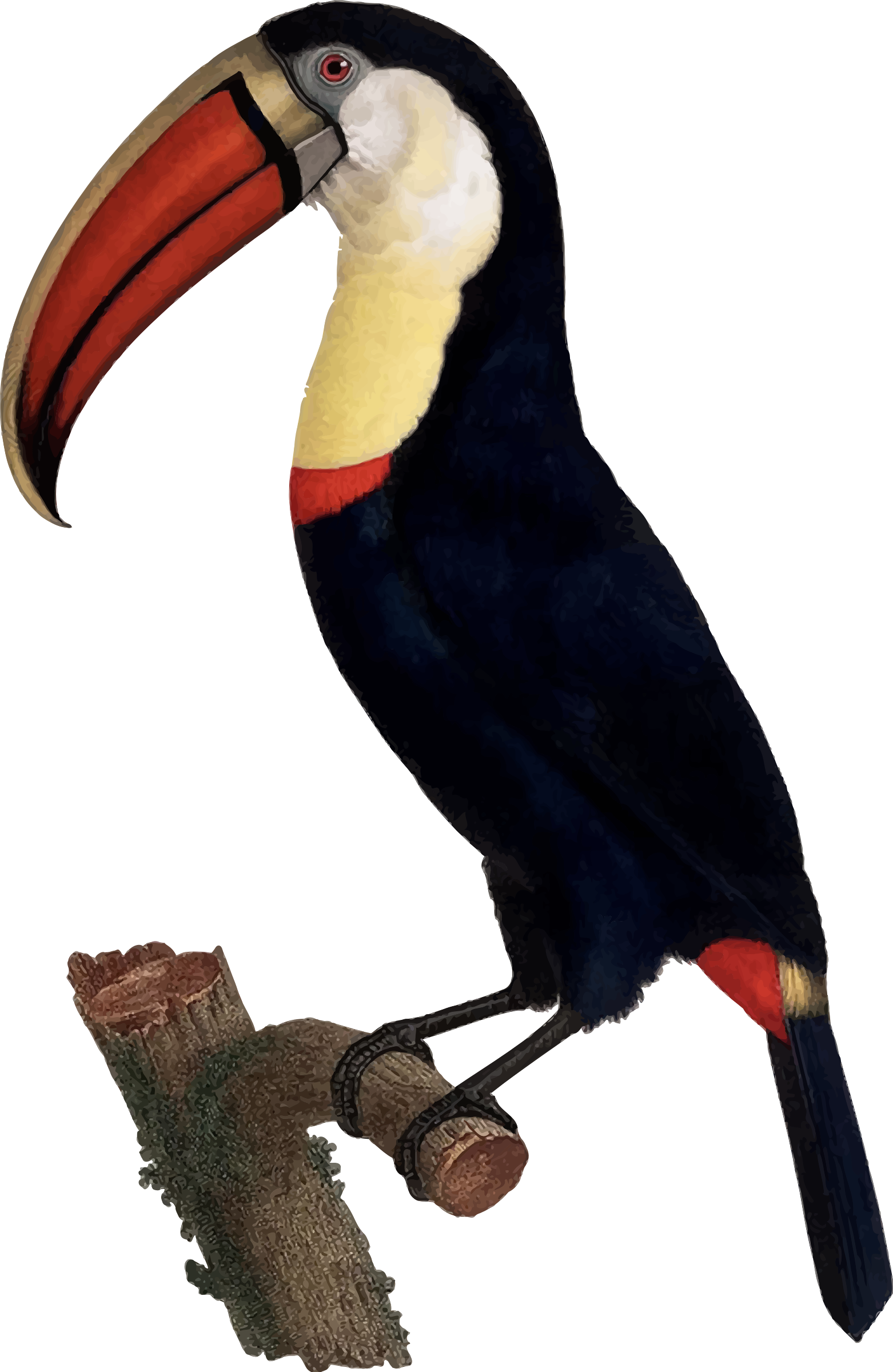 Big Image - Big Image (1562x2400)