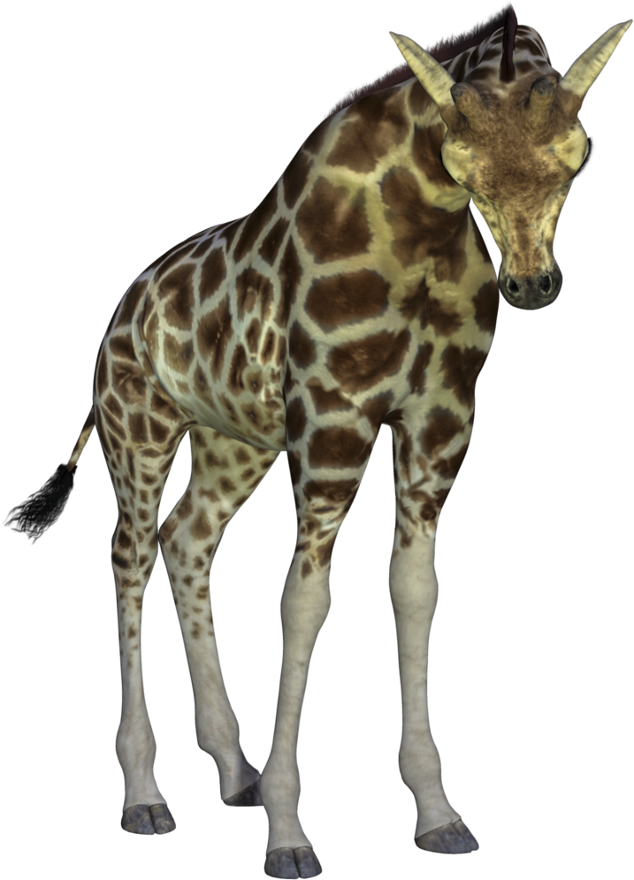 Giraffe By Suicideomen - Giraffe (771x1037)