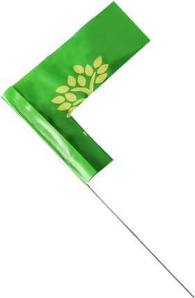 Flag (285x447)