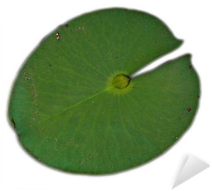 Lime (400x400)