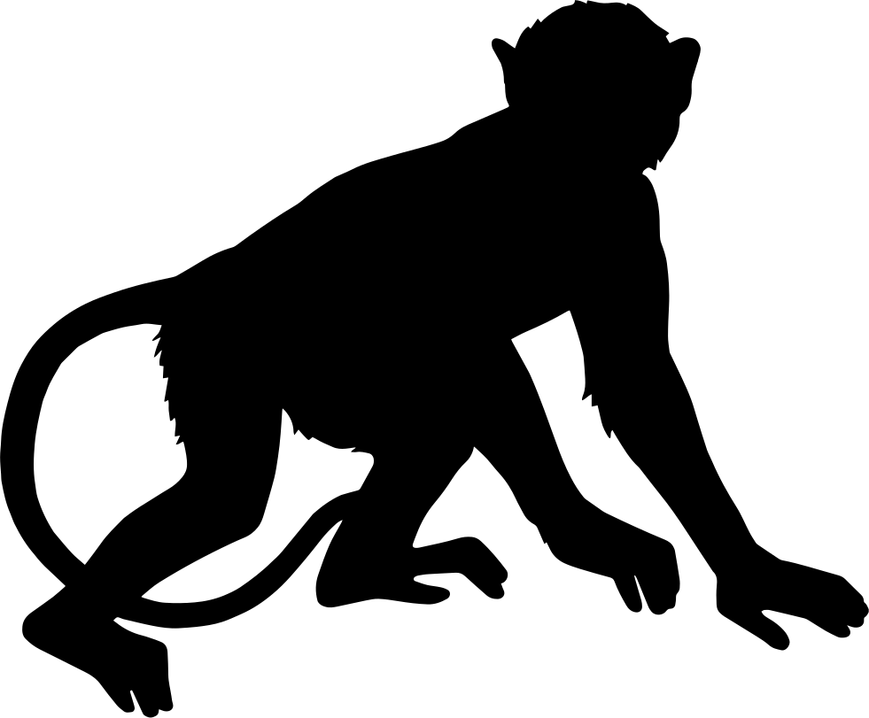 Primate Monkey Clip Art - Primate Monkey Clip Art (981x811)