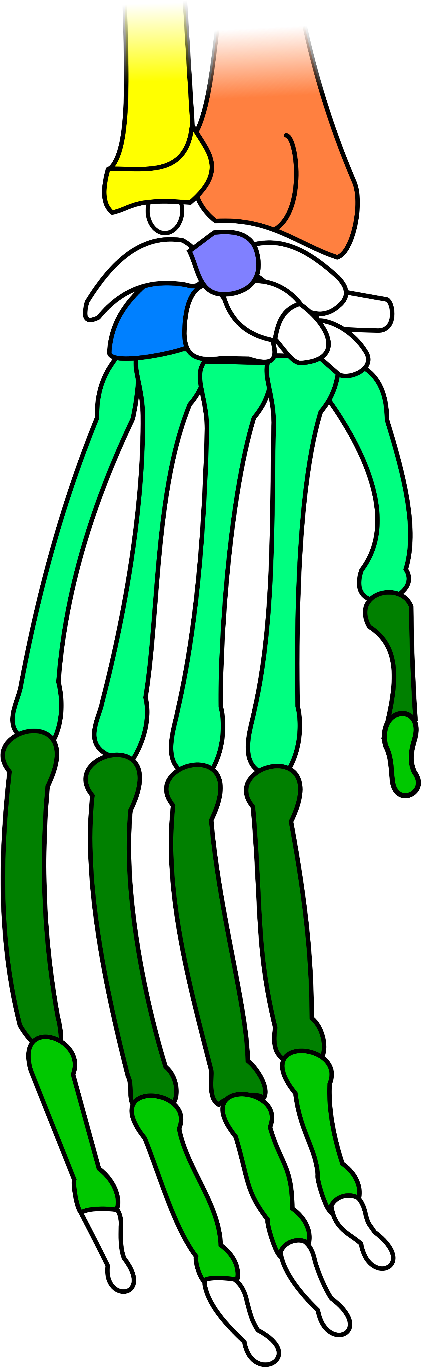 Open - Cartoon (2000x5141)