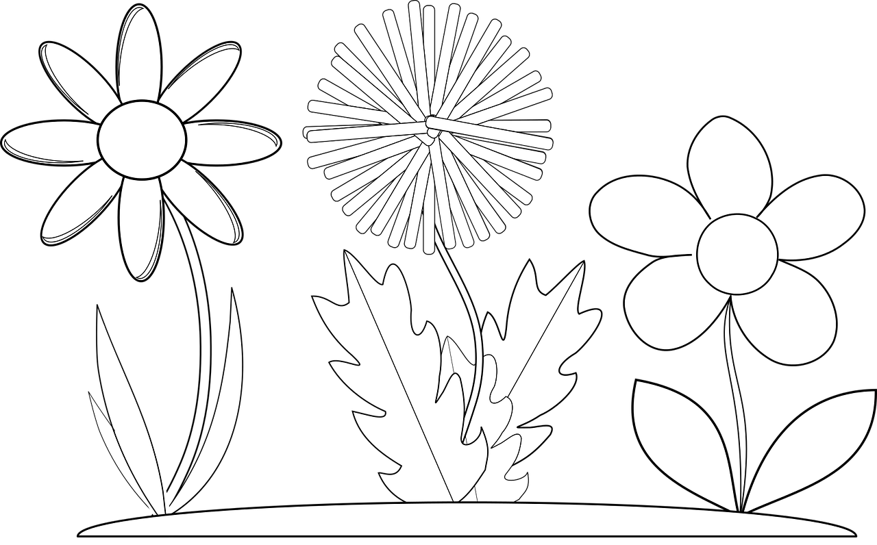 Coloring Pages Free For Kids - ภาพ วาด ดอกไม้ ขาว ดำ (1280x796)