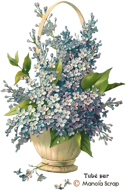 Tubes Fleurs Page - Happy 35th Birthday Sister-in-law, Lilacs, Purple, (445x657)