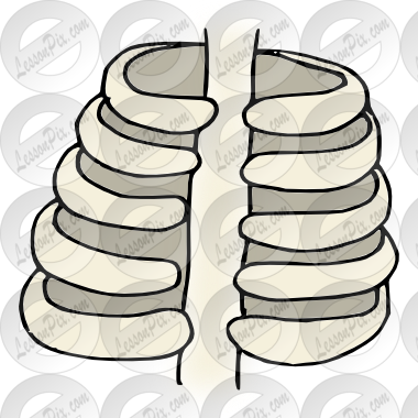 Ribs Picture - Ribs (380x380)