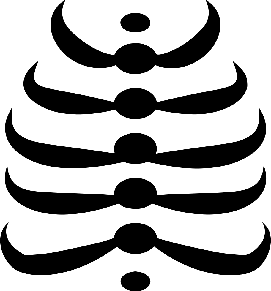 Skeleton Ribs Comments - Portable Network Graphics (912x980)
