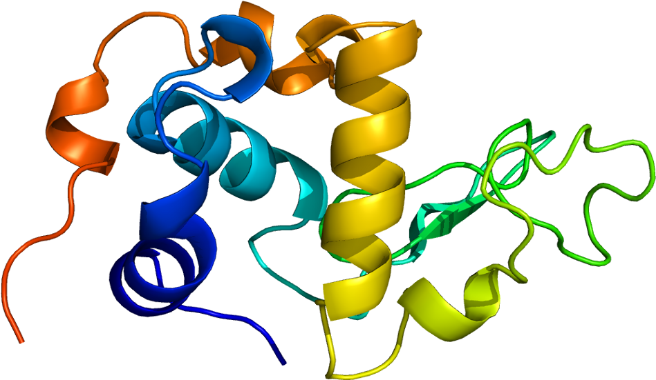 Α Lactalbumin (998x600)
