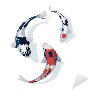 Koi (400x400)