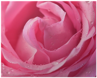 Photography (400x400)
