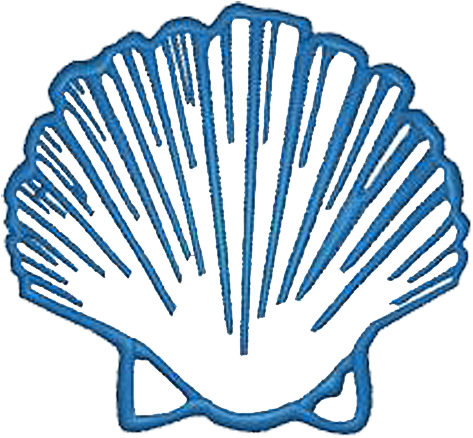 Shell - Shell (500x500)