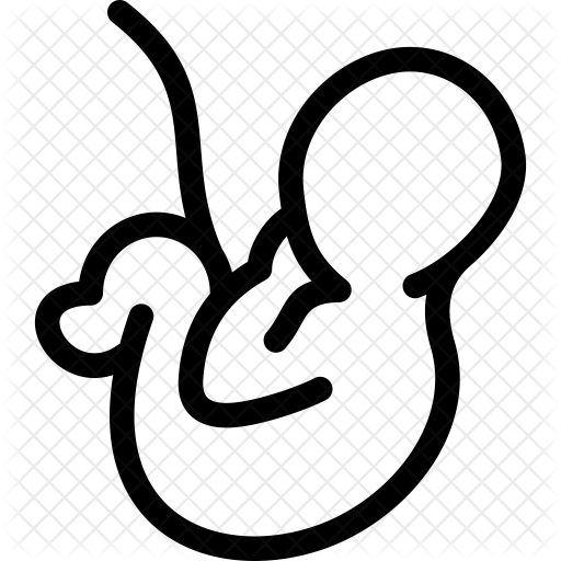 Embryo Icon - Embryo (512x512)