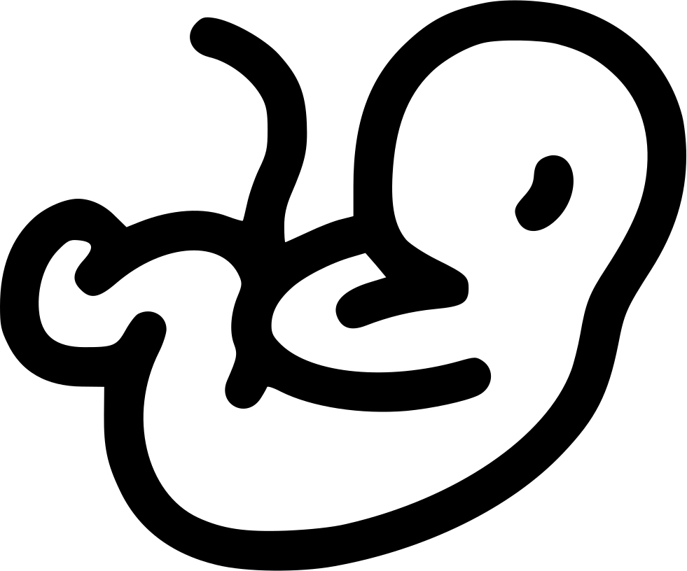 Embryo Comments - Pregnancy (981x816)