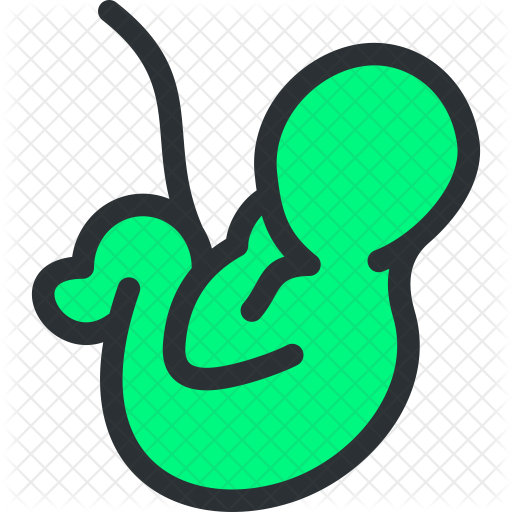 Embryo Icon - Embryo (512x512)
