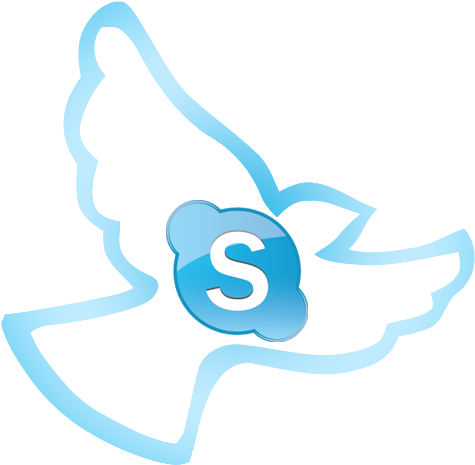 Skype Consultation - Skype (500x500)