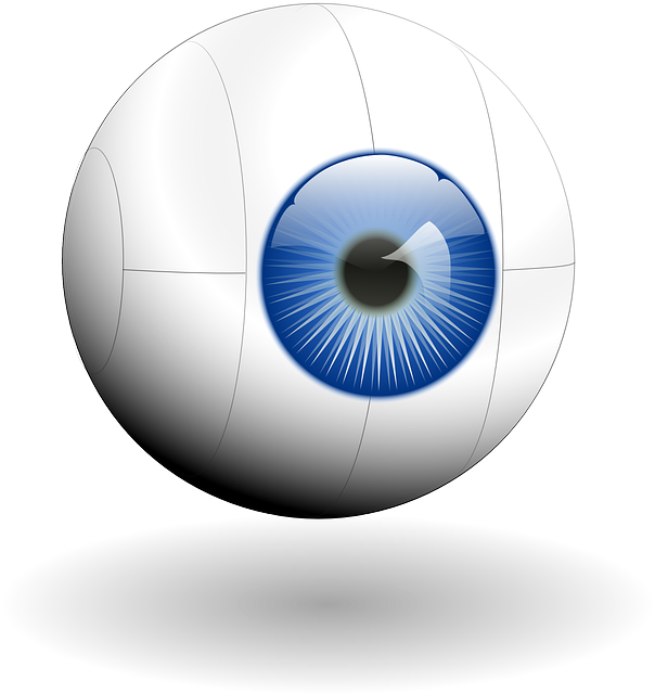 Eye-eyebulb Vector - Eye Clip Art (604x640)