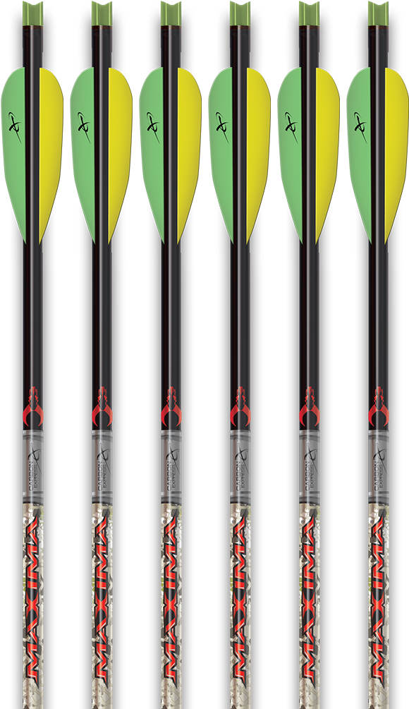 Crossbow Bolt (845x1024)