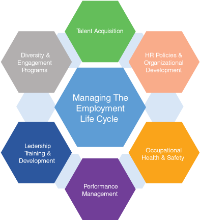 Chart - Human Resources Life Cycle (793x442)