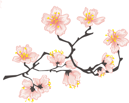 Website Design By - Transparent Cherry Blossom (451x352)