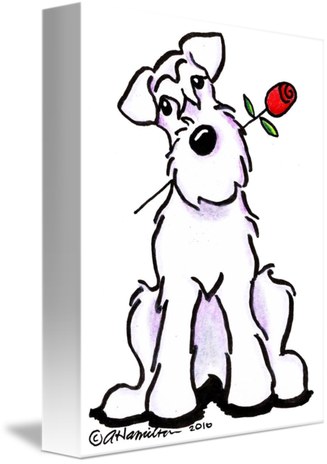 Schnauzer Cartoon (458x650)
