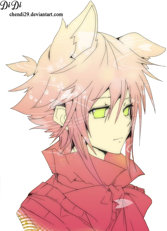 Anime - Cute Fox Boy Anime (564x746)