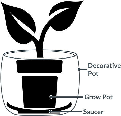 Cache Pot & Saucer - Cachepot (550x497)